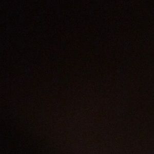 Meet your Posher, Amelia